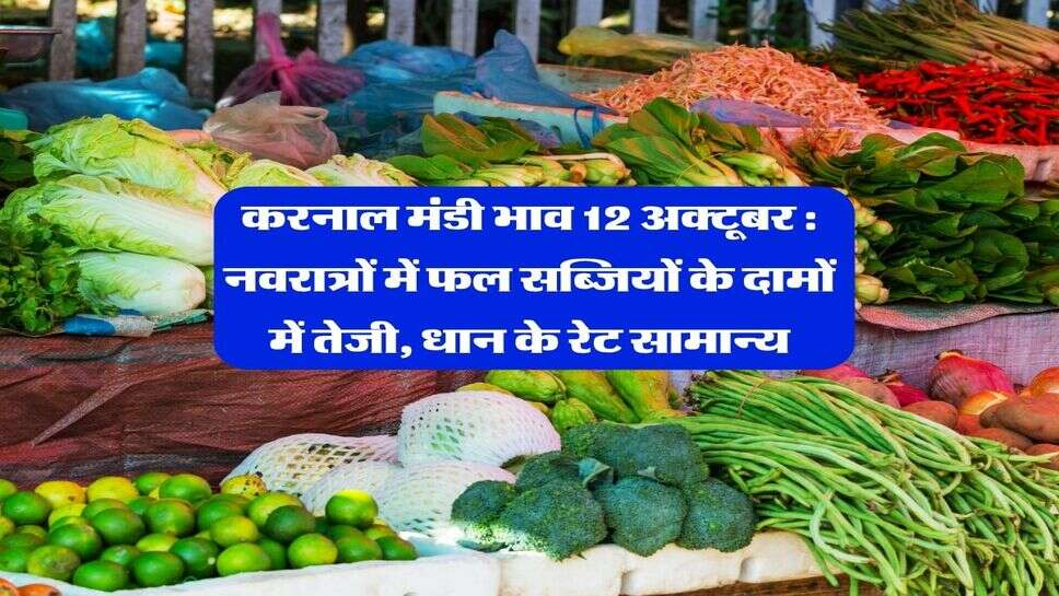 करनाल मंडी भाव 12 अक्टूबर : नवरात्रों में फल सब्जियों के दामों में तेजी, धान के रेट सामान्य