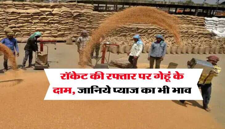 Wheat Rate Hike : रॉकेट की रफ्तार पर गेहूं के दाम, जानिये प्याज का भी भाव