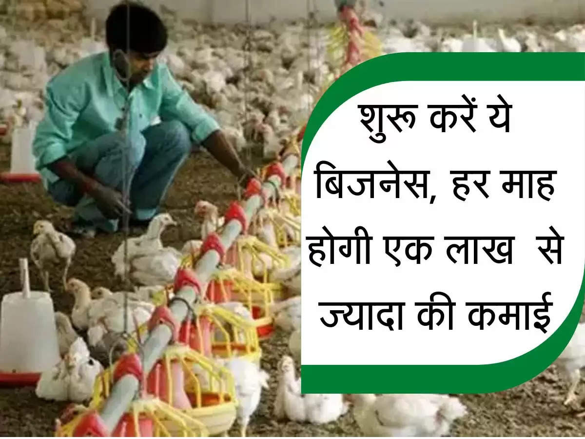 poultry Business : शुरू करें ये बिजनेस, हर माह होगी एक लाख रुपये से ज्यादा की कमाई