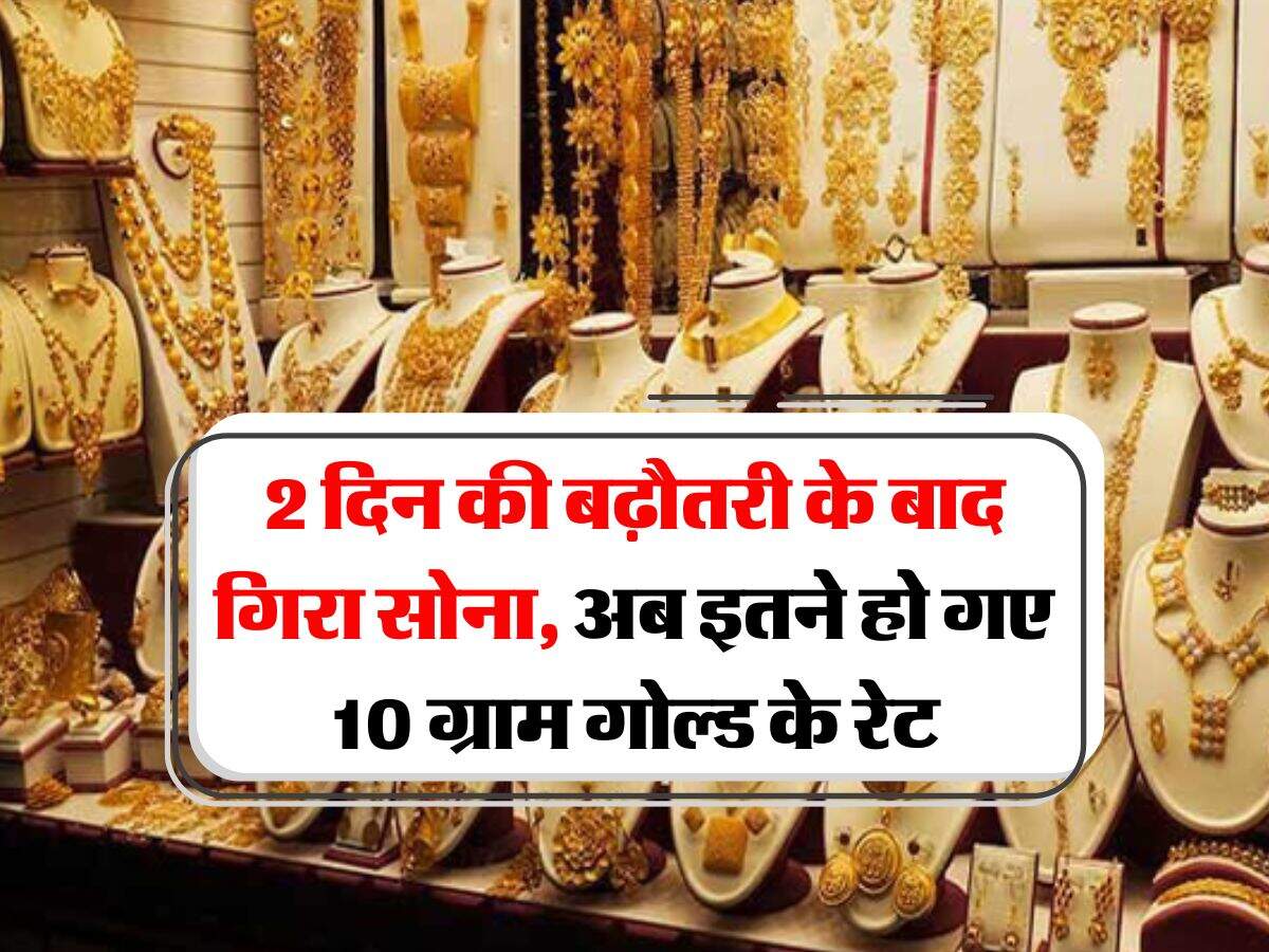 Gold Rate Down : 2 दिन की बढ़ौतरी के बाद गिरा सोना, अब इतने हो गए 10 ग्राम गोल्ड के रेट