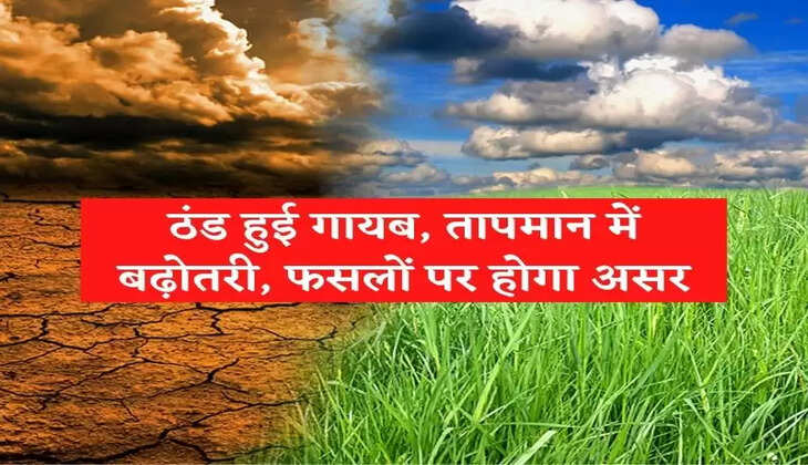 हरियाणा में ठंड हुई गायब, तापमान में बढ़ोतरी, जानिए फसलों पर क्या पड़ेगा असर