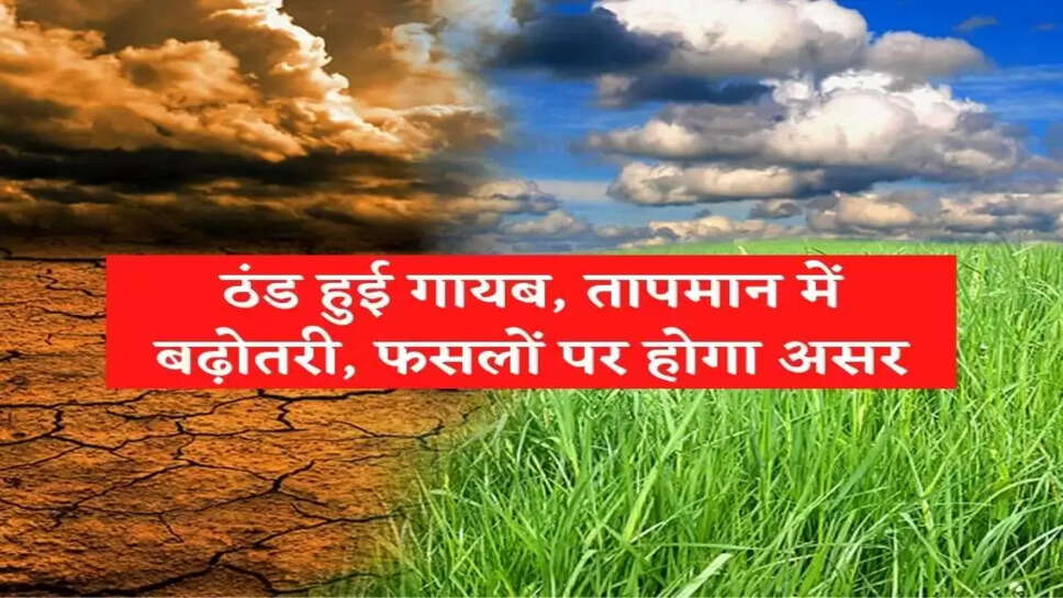 हरियाणा में ठंड हुई गायब, तापमान में बढ़ोतरी, जानिए फसलों पर क्या पड़ेगा असर