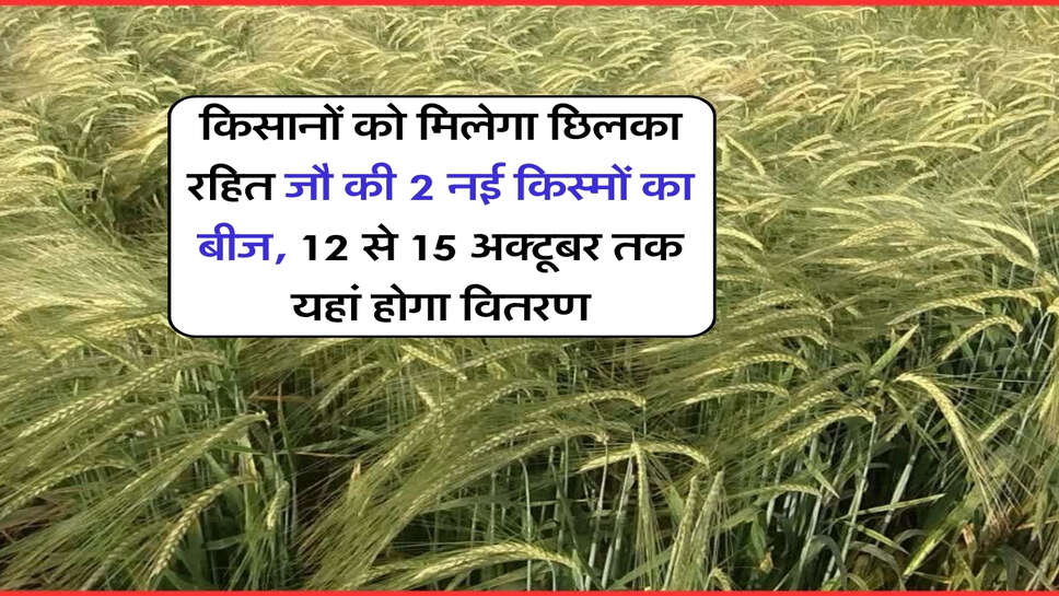 किसानों को मिलेगा छिलका रहित जौ की 2 नई किस्मों का बीज, 12 से 15 अक्टूबर तक यहां होगा वितरण