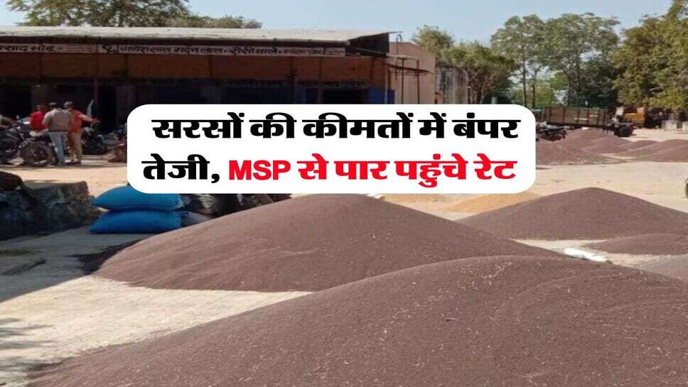 Sarso ka bhav : सरसों की कीमतों में बंपर तेजी, MSP से पार पहुंचे रेट&nbsp;