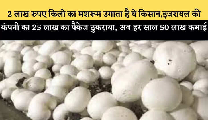 2 लाख रुपए किलो का मशरूम उगाता है ये किसान,इजरायल की कंपनी का 25 लाख का पैकेज ठुकराया, अब हर साल 50 लाख कमाई