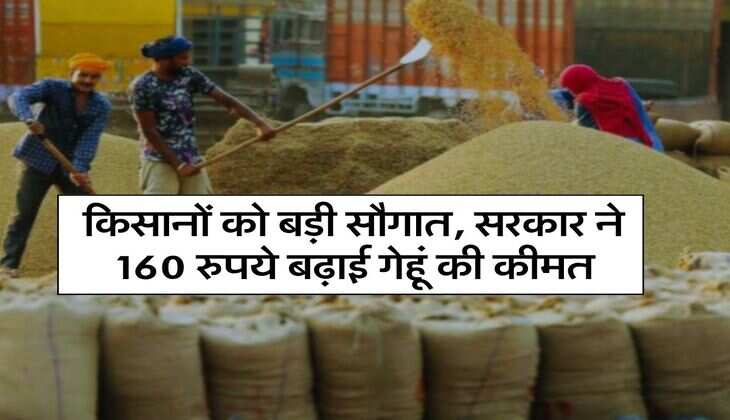 Gehu ka Bhav : किसानों को बड़ी सौगात, सरकार ने 160 रुपये बढ़ाई गेहूं की कीमत