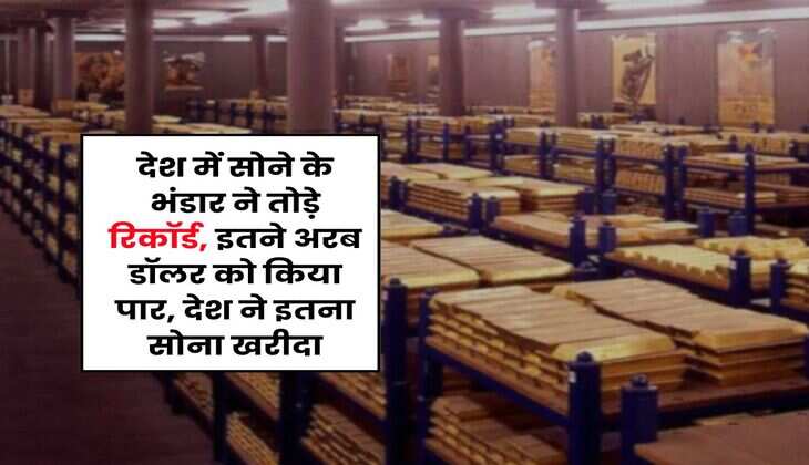 Gold Reserve : देश में सोने के भंडार ने तोड़े रिकॉर्ड, इतने अरब डॉलर को किया पार, देश ने इतना सोना खरीदा