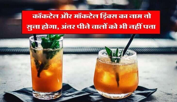 Wine Beer : कॉकटेल और मॉकटेल ड्रिंक्स का नाम तो सुना होगा, अंतर पीने वालों को भी नहीं पता