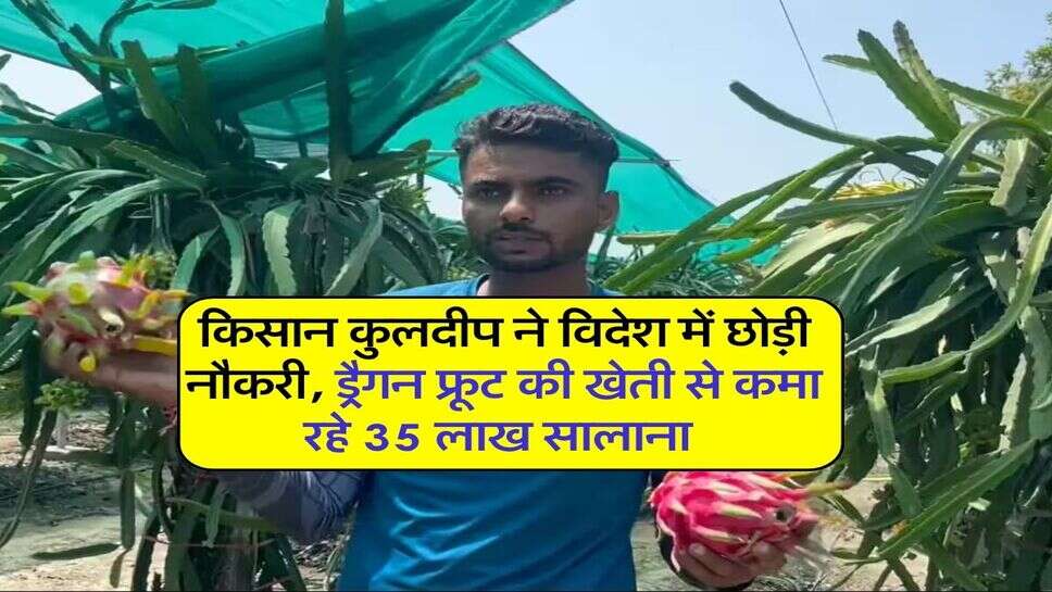 किसान कुलदीप ने विदेश में छोड़ी नौकरी, ड्रैगन फ्रूट की खेती से कमा रहे 35 लाख सालाना 