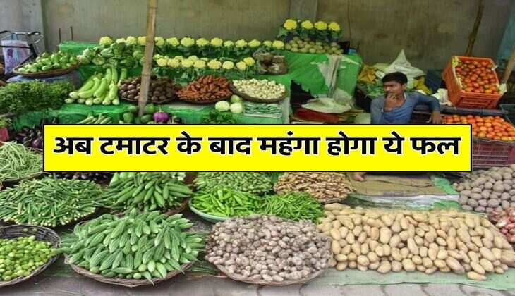 Tomato Rate : अब टमाटर के बाद महंगा होगा ये फल&nbsp;