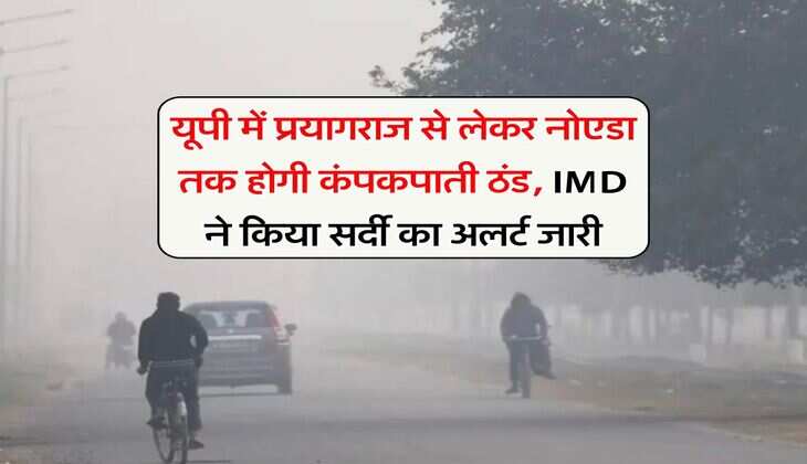 UP Weather Update : यूपी में प्रयागराज से लेकर नोएडा तक होगी कंपकपाती ठंड, IMD ने किया सर्दी का अलर्ट जारी