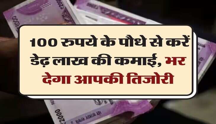 Business idea : 100 रुपये के पौधे से करें डेढ़ लाख की कमाई, भर देगा आपकी तिजोरी
