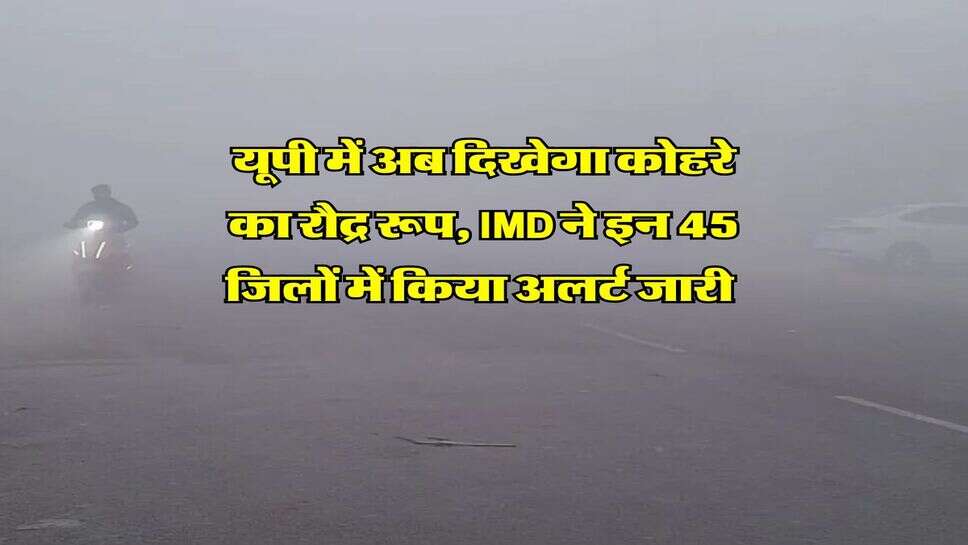 UP Weather Update : यूपी में अब दिखेगा कोहरे का रौद्र रूप, IMD ने इन 45 जिलों में किया अलर्ट जारी&nbsp;
