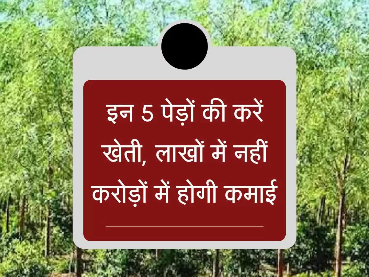 फसलों की छोड़ों इन 5 पेड़ों की करें खेती, लाखों में नहीं करोड़ों में होगी कमाई  