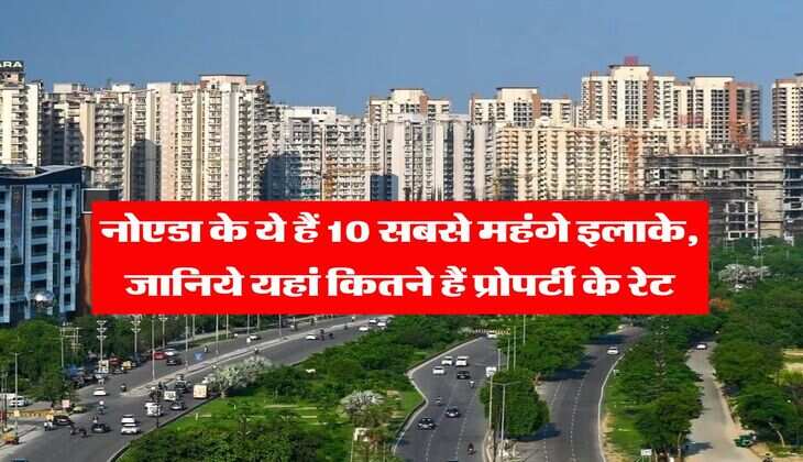 Property Rate : नोएडा के ये हैं 10 सबसे महंगे इलाके, जानिये यहां कितने हैं प्रोपर्टी के रेट