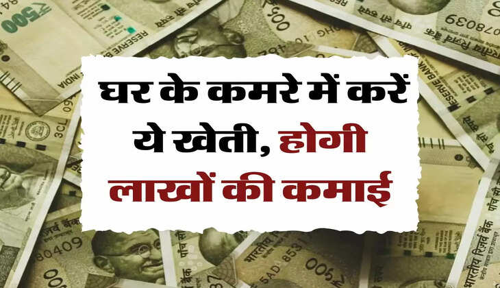 Business Idea: घर के कमरे में करें ये खेती, होगी लाखों की कमाई