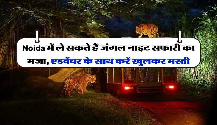 Noida में ले सकते हैं जंगल नाइट सफारी का मजा, एडवेंचर के साथ करें खुलकर मस्ती