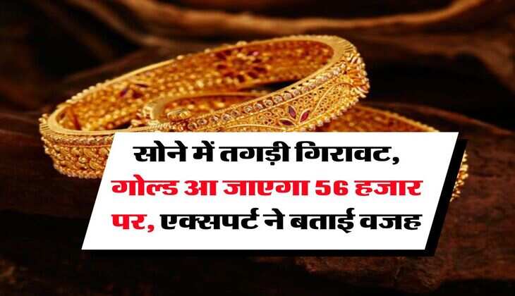 Gold Rate : सोने में तगड़ी गिरावट, अब आ जाएगा 56 हजार पर, एक्सपर्ट ने बताई वजह