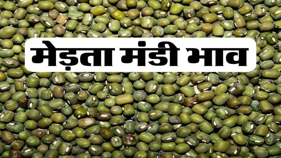 मेड़ता मंडी भाव : मूंग-चना के भाव में आई गिरावट, मेड़ता मंडी में आवक जारी