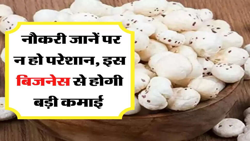 New Business Idea: नौकरी जानें पर न हो परेशान, इस बिजनेस से होगी बड़ी कमाई&nbsp;