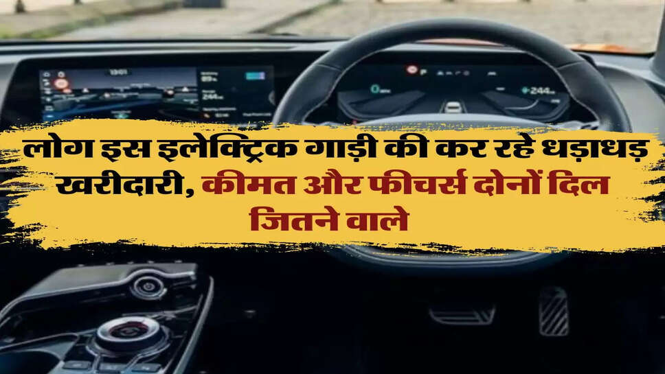 Electric Car: लोग इस इलेक्ट्रिक गाड़ी की कर रहे धड़ाधड़ खरीदारी, कीमत और फीचर्स दोनों दिल जितने वाले&nbsp;
