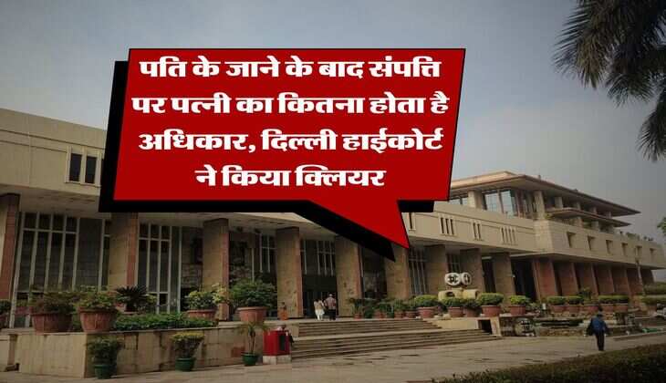 Property Rights : पति के जाने के बाद संपत्ति पर पत्नी का कितना होता है अधिकार, दिल्ली हाईकोर्ट ने किया क्लियर