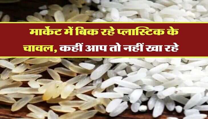 Rice Identification : मार्केट में बिक रहे प्लास्टिक के चावल, कहीं आप तो नहीं खा रहे, ऐसे करें पहचान