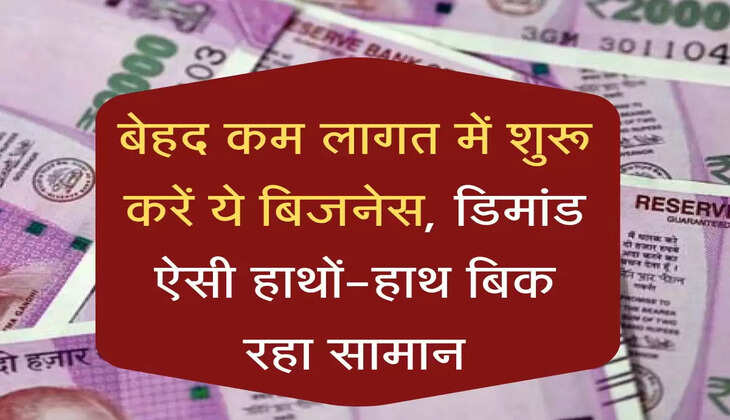 Business Idea: बेहद कम लागत मेें शुरू करें ये बिजनेस, डिमांड ऐसी हाथों-हाथ बिक रहा सामान