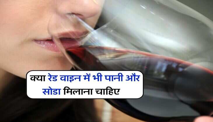 Liquor Alcohol : क्या रेड वाइन में भी पानी और सोडा मिलाना चाहिए, जानिये क्या कहते हैं एक्सपर्ट