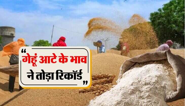 wheat flour rate : गेहूं आटे के भाव ने तोड़ा रिकॉर्ड, सातवें आसामान में जा पहुंचे रेट
