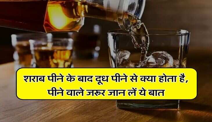 Wine Beer : शराब पीने के बाद दूध पीने से क्या होता है, पीने वाले जरूर जान लें ये बात