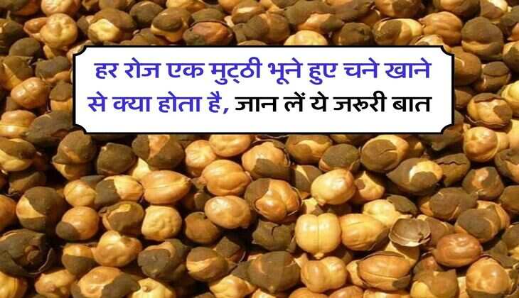 gram : हर रोज एक मुट्&zwnj;ठी भूने हुए चने खाने से क्या होता है, जान लें ये जरूरी बात