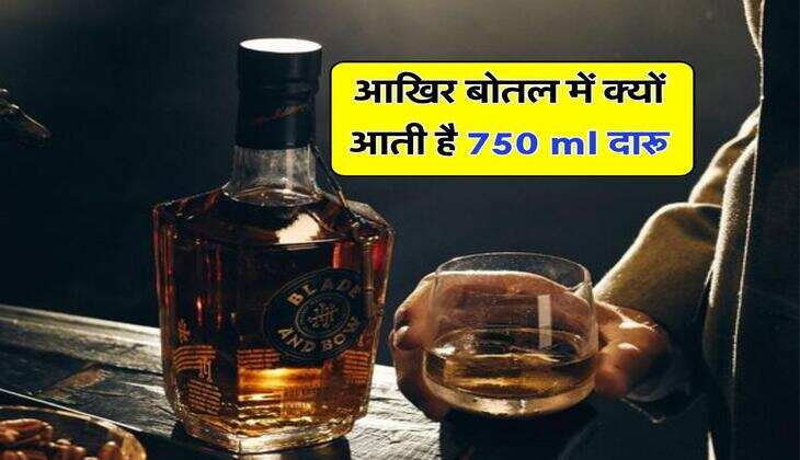 Wine Bottle : अद्धा, पव्वा और खंभा, आखिर बोतल में क्यों आती है 750 ml दारू, ये है बड़ी वजह&nbsp;