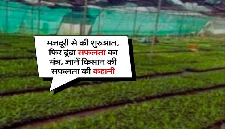 Success Story : मजदूरी से की शुरुआत, फिर ढूंढा सफलता का मंत्र, जानें किसान की सफलता की कहानी
