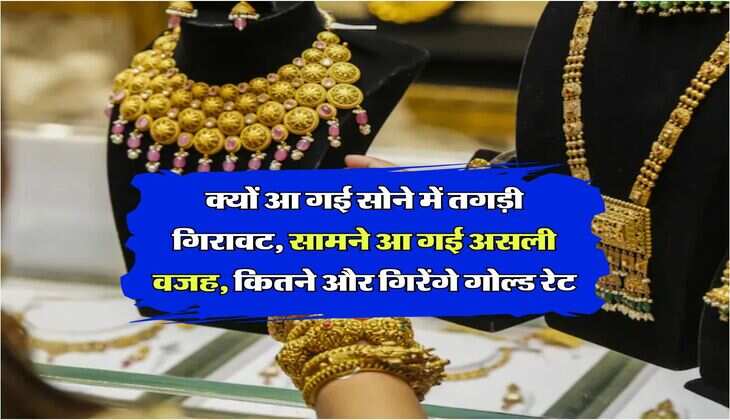Gold Rate Down : क्यों आ गई सोने में तगड़ी गिरावट, सामने आ गई असली वजह, कितने और गिरेंगे गोल्ड रेट