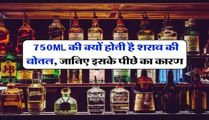 Wine Beer : 750ML की क्यों होती है शराब की बोतल, अधिकतर लोग नहीं जानते होंगे इसका कारण
