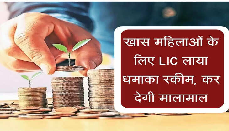 LIC Dhan Rekha Policy : खास महिलाओं के लिए LIC लाया धमाका स्कीम, कर देगी मालामाल