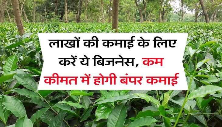 Business Idea :  लाखों की कमाई के लिए करें ये बिजनेस, कम कीमत में होगी बंपर कमाई