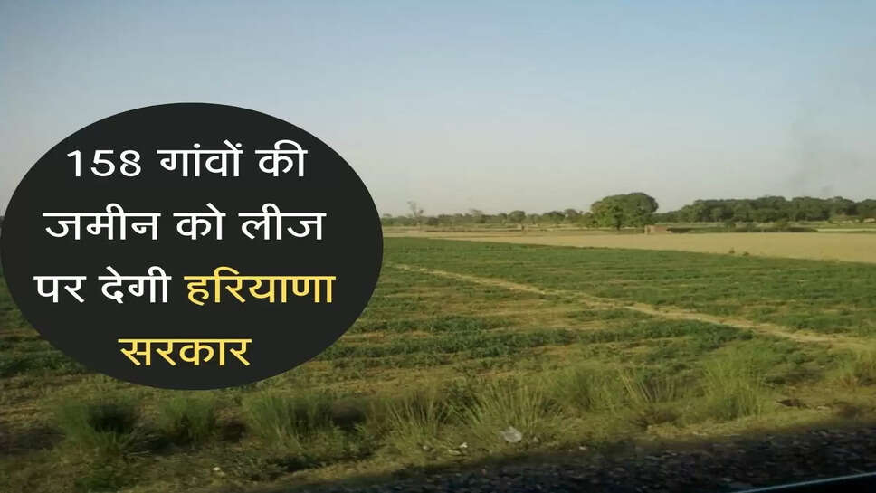 today haryana news in hindi