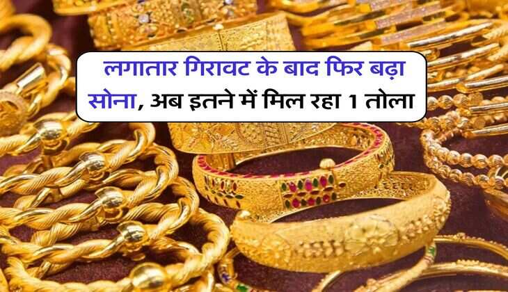 Gold Rate : लगातार गिरावट के बाद फिर बढ़ा सोना, अब इतने में मिल रहा 1 तोला