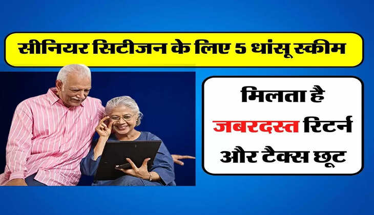 Tax Saving Tips: सीनियर सिटीजन के लिए 5 धांसू स्कीम, मिलता है जबरदस्त रिटर्न और टैक्स छूट