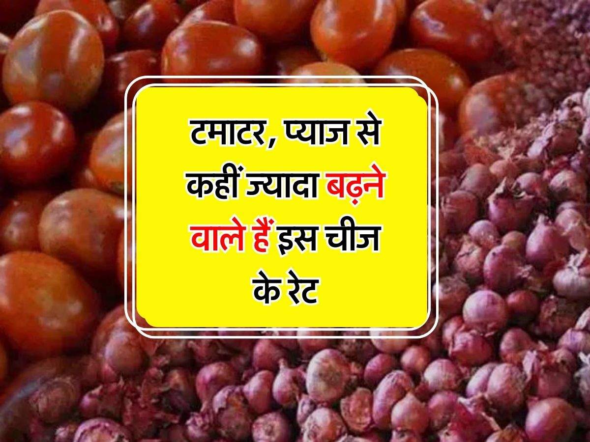 Dearness - टमाटर, प्याज से कहीं ज्यादा बढ़ने वाले हैं इस चीज के रेट, लोग अभी से कर रहे स्टॉक