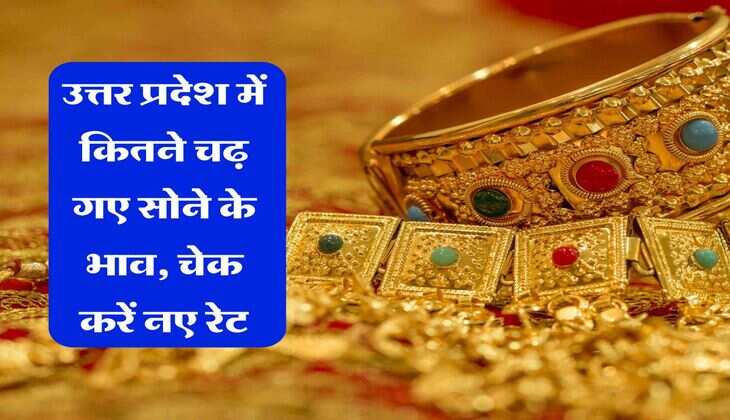 Delhi-NCR में होगी झमाझम बरसात, IMD ने किया आंधी के साथ बारिश का अलर्ट जारी