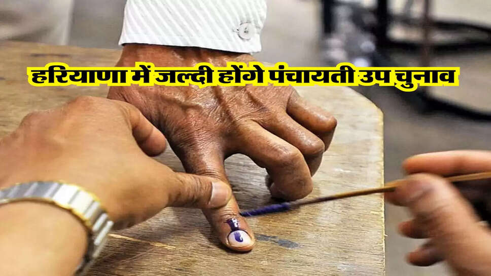  हरियाणा में जल्दी होंगे पंचायती उप चुनाव 