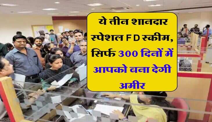 FD Scheme: इस बैंक की ये तीन शानदार स्पेशल FD स्कीम, सिर्फ 300 दिनों में आपको बना देगी अमीर