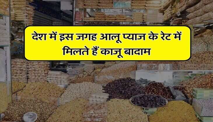 Cheapest Cashew : देश में इस जगह आलू प्याज के रेट में मिलते हैं काजू बादाम, 100-200 ग्राम नहीं झोला भर के ले जाते हैं लोग, दुकानों पर भी यहीं से होता है सप्लाई