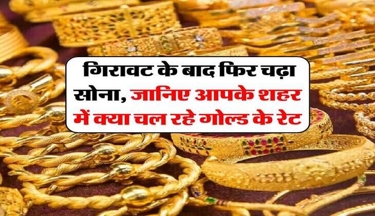 Gold Rate : गिरावट के बाद फिर चढ़ा सोना, जानिए आपके शहर में क्या चल रहे गोल्ड के रेट