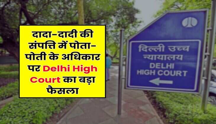 दादा-दादी की संपत्ति में पोता-पोती के अधिकार पर Delhi High Court का बड़ा फैसला