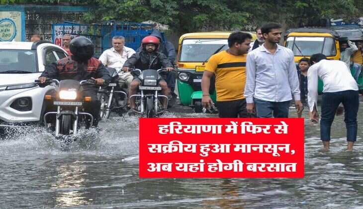 Haryana Weather : हरियाणा में फिर से सक्रीय हुआ मानसून, अब यहां होगी बरसात