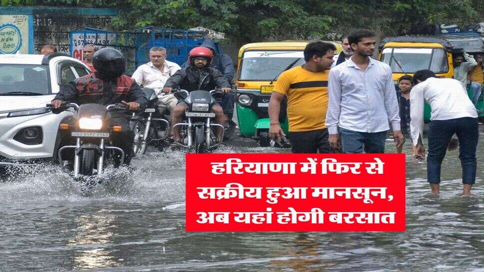 Haryana Weather : हरियाणा में फिर से सक्रीय हुआ मानसून, अब यहां होगी बरसात